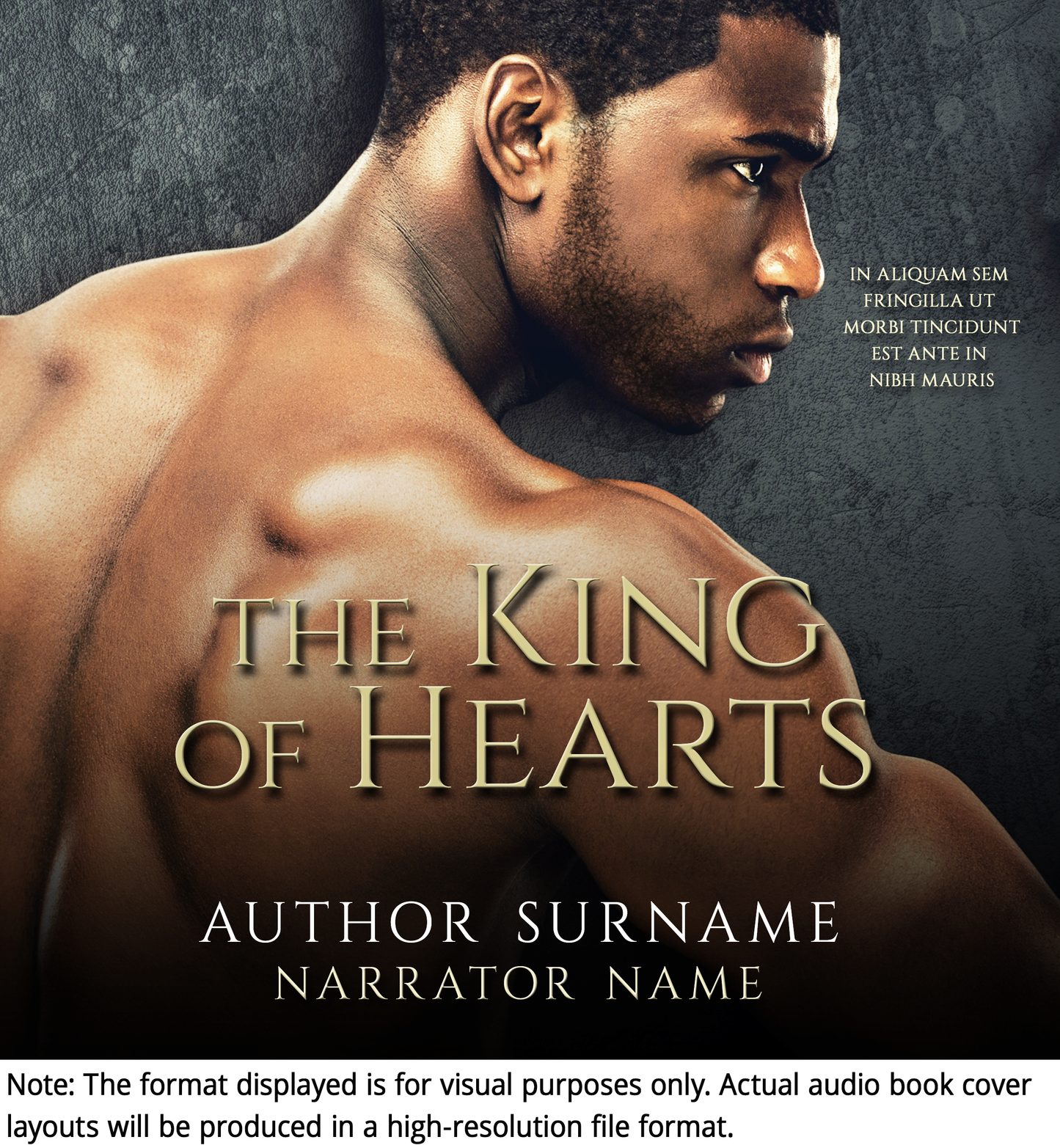 Pre-made Book Cover M1428