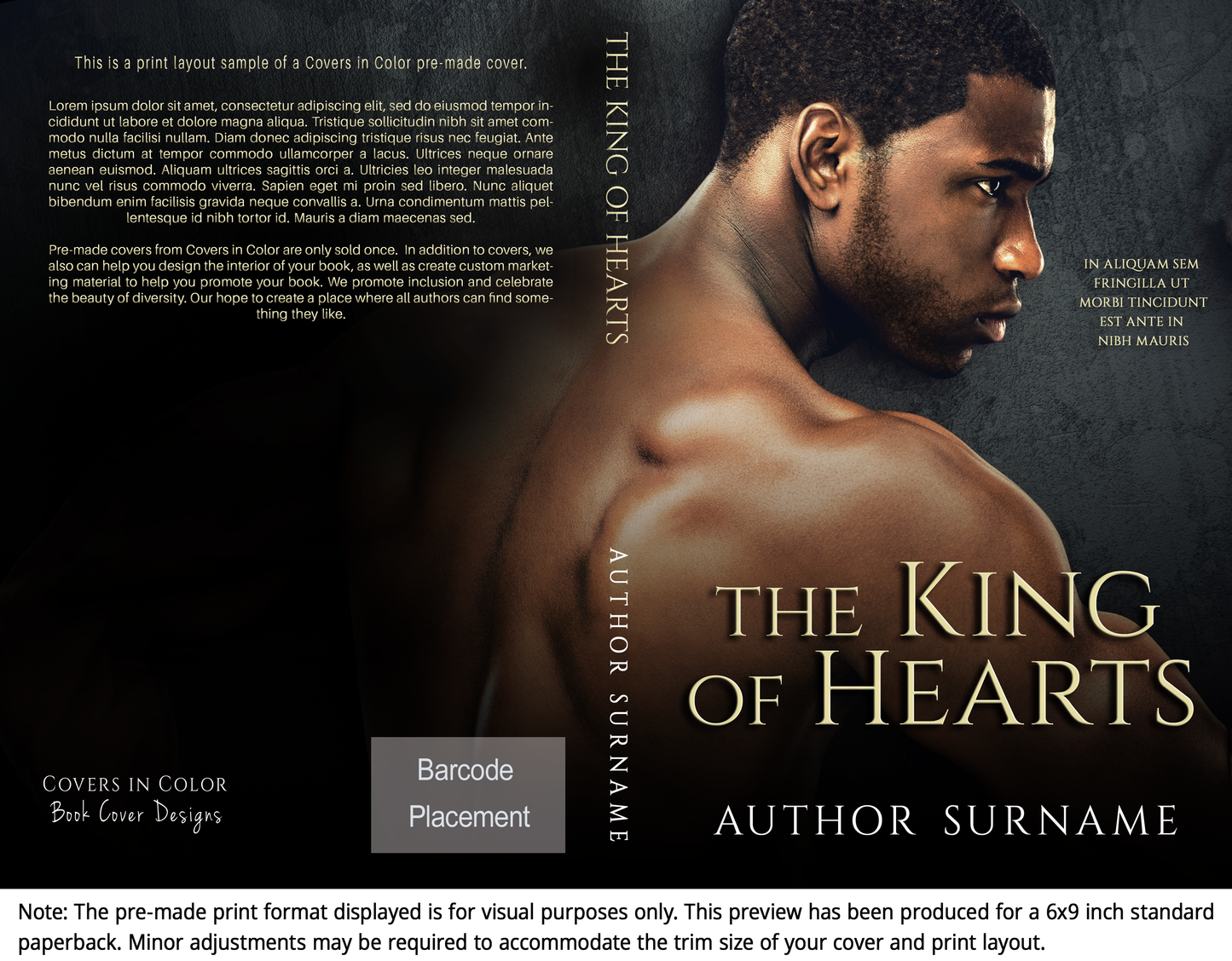 Pre-made Book Cover M1428