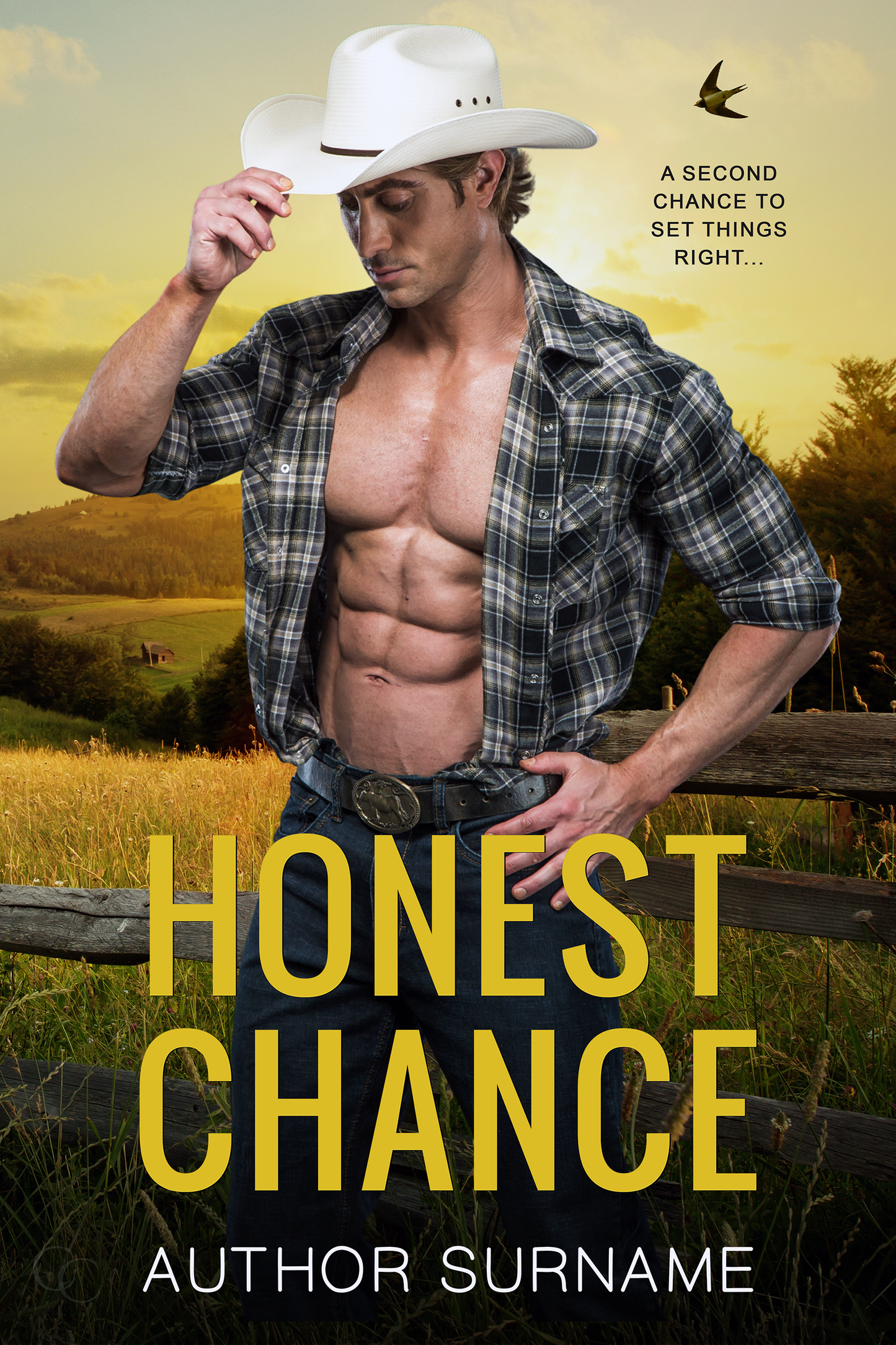 Pre-made Book Cover M1710 Series: Romance West