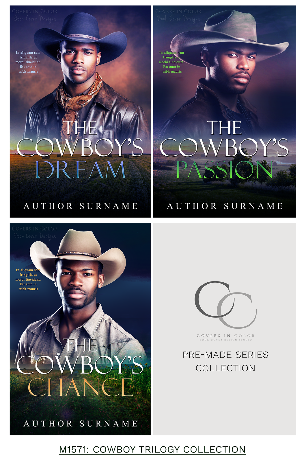 Pre-made Book Cover M1571 Series: Cowboy