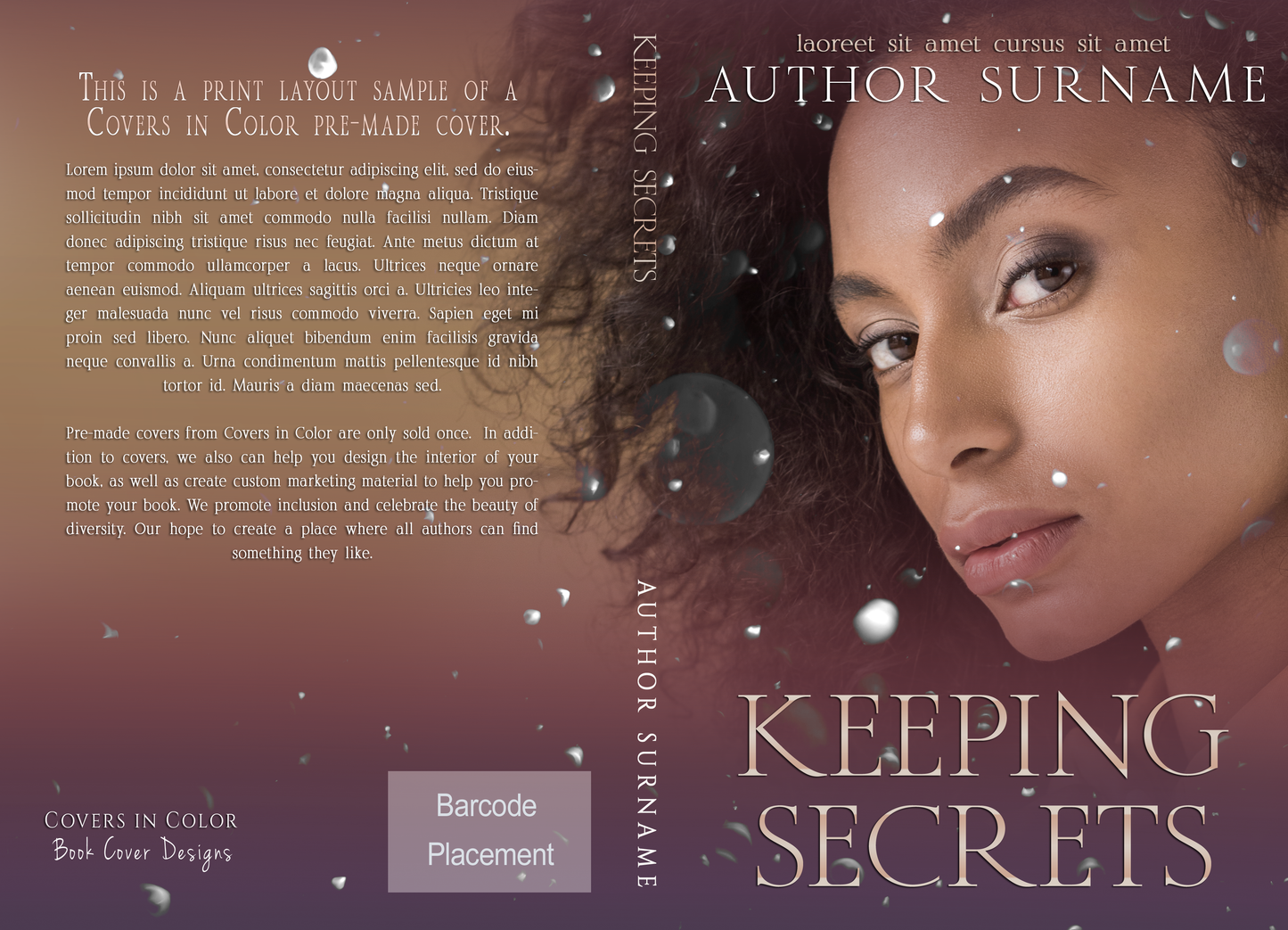 Pre-made Book Cover M1476 Series: Secrets