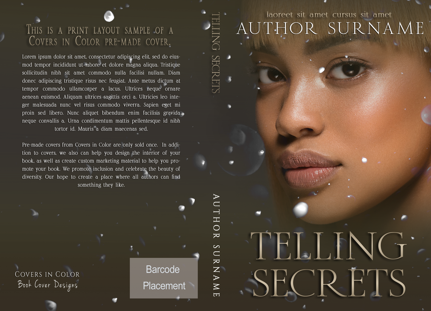 Pre-made Book Cover M1476 Series: Secrets